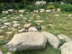 -无锡动物园·太湖欢乐园