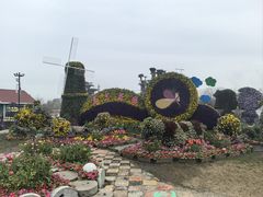 -荷兰花海