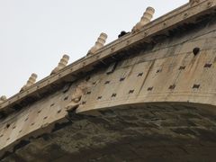 -赵州桥景区