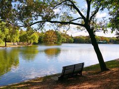 -上海共青森林公园