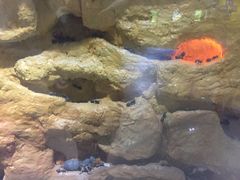 -上海昆虫博物馆