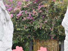 -南诏风情岛