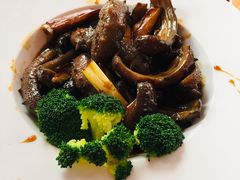 -金蝉食府(维吉奥广场店)