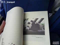 -熊猫屋(宽窄巷子景区店)