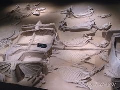 -洛阳周王城天子驾六博物馆