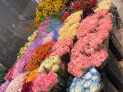 -曲阳花鸟市场(曲阳路店)