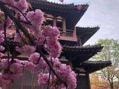 -西安青龙寺遗址景区