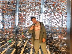-长沙尼依格罗酒店