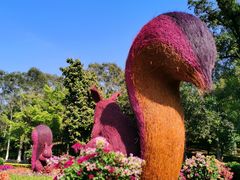 -广州市白云山风景名胜区