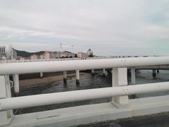 -演武大桥观景平台