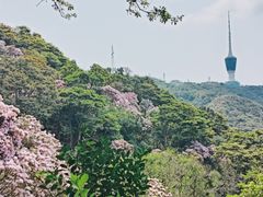 -梧桐山风景名胜区