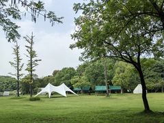 -长广溪湿地公园