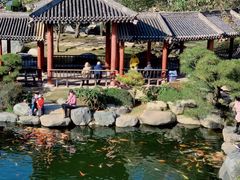 -中国唐苑