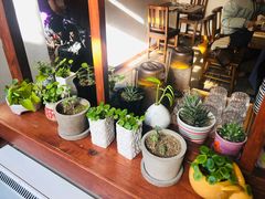 -铃木食堂(帽儿胡同店)