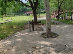 -北坞公园