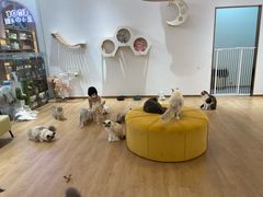 -1013 PET SHOP精品宠物商店(丁香店)