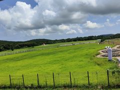 -济州森林小火车生态公园