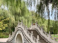 -洛阳市隋唐城遗址植物园