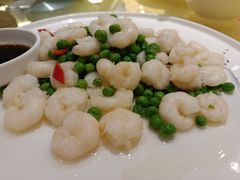-锦江都城经典达华静安寺酒店·餐厅