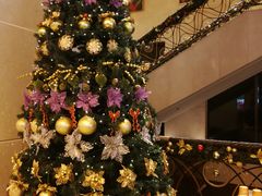 -香港城市花园酒店