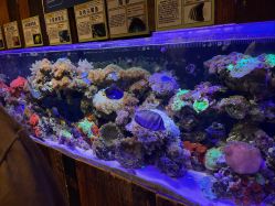 -Zoolung Zoolung动物主题公园(海信广场店)