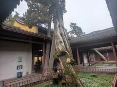 -太平天国侍王府