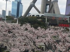-东方明珠广播电视塔