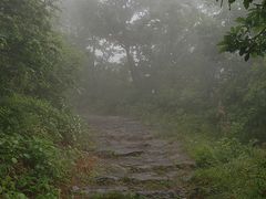 -阳台山自然风景区
