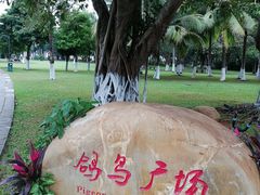 -万绿园