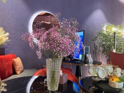 -花隐·美芙炫海菲秀皮肤管理中心