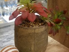 -好人民间小吃(镇江八佰伴店)