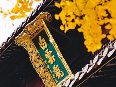 -上海白云观