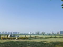 -汉长安城未央宫国家考古遗址公园