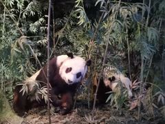 -天津自然博物馆