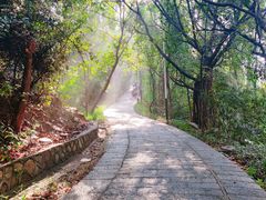 -水濂山森林公园