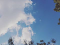 -美兰湖景区