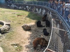 -无锡动物园·太湖欢乐园