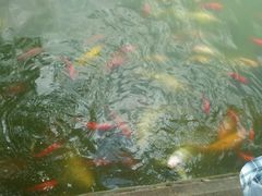 -月牙潭公园