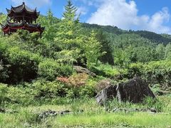 -梭布垭石林景区