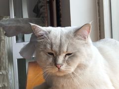 -青春加萌照相馆