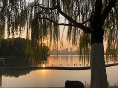 -天鹅湖体育公园