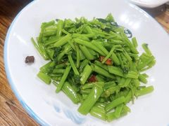 -小小饭店·休闲农庄·安吉松树林里的农家菜