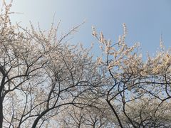 -潮粥荟·潮汕砂锅粥(朝阳大悦城店)
