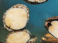 -王大厨·海鲜·家常菜