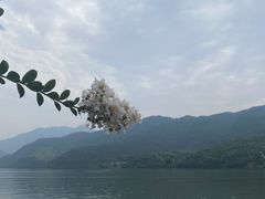 -严子陵钓台(富春江小三峡)