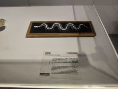 -生命奥秘博物馆