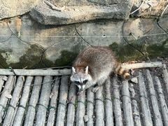 -宁波野生动物园