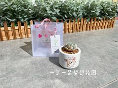 -呷贺盐酥鸡(抄纸巷店)