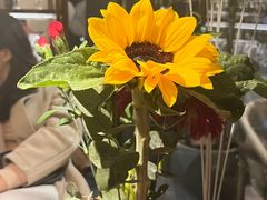 -MONICH牛排融合餐厅(和义大道购物中心店)