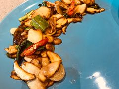 野芫荽炒牛肝菌-半山腰·云南菜(侨福芳草地店)
